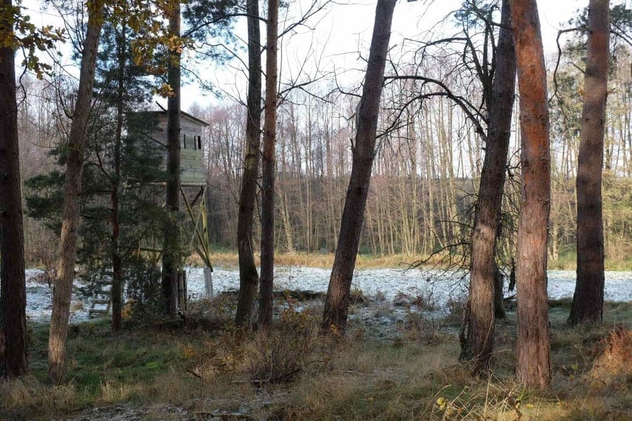 Blind & Brush — Hunting concealment gear — blinds, scent control, camo & saddles