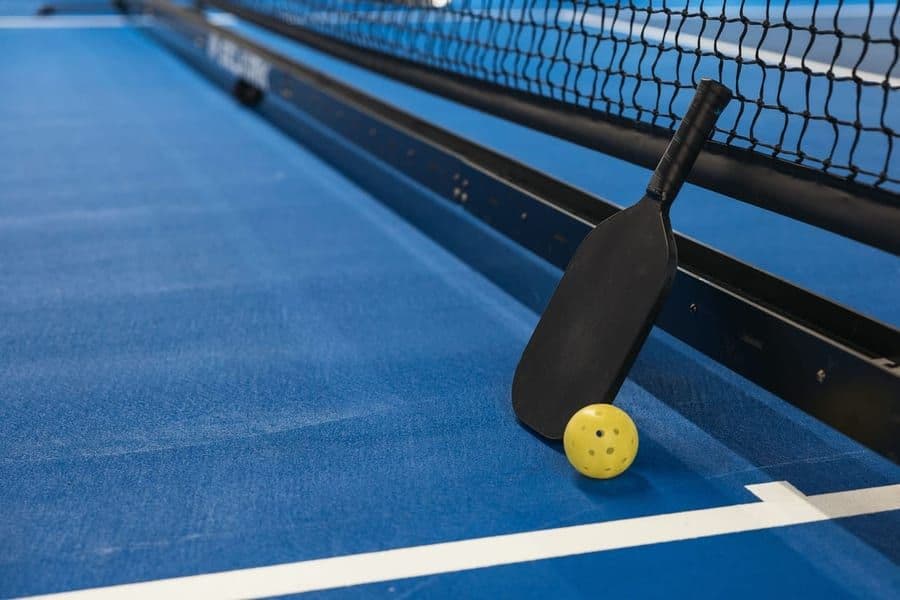 Drive Dink — Pickleball paddles & gear — the power game